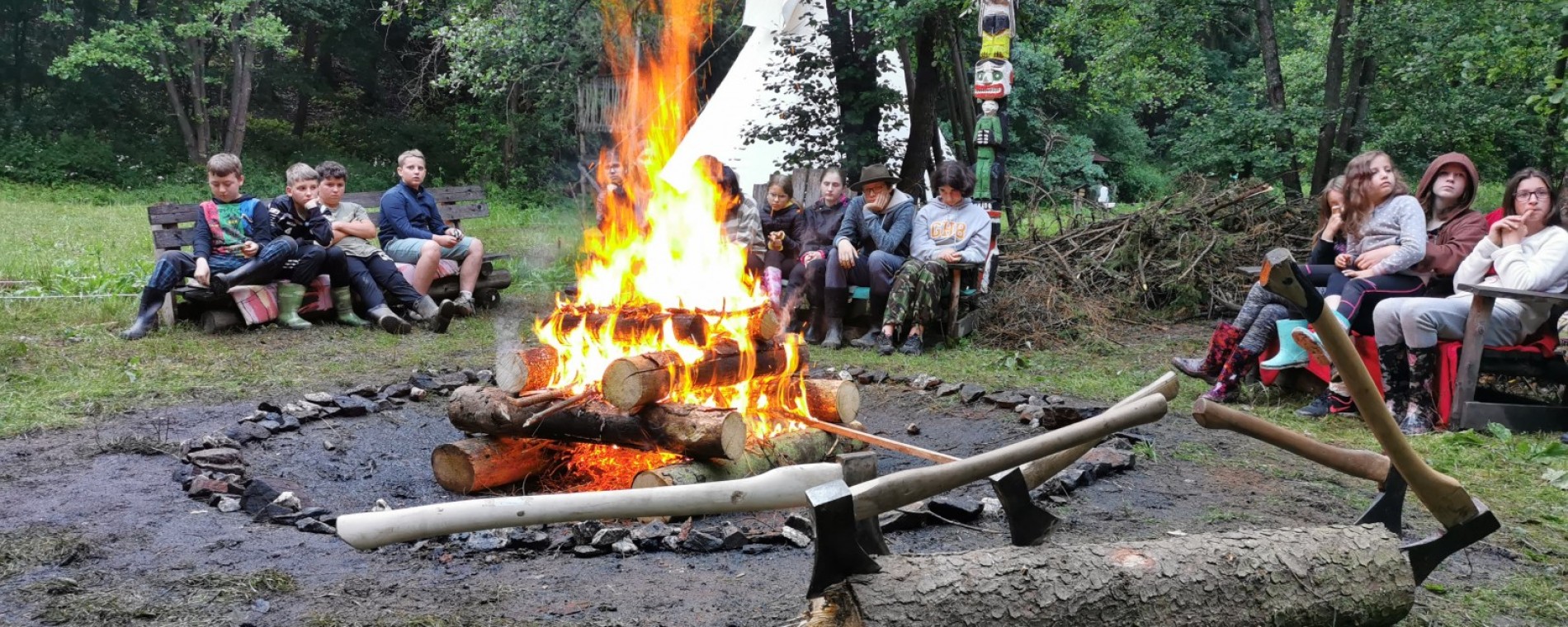 oddíl dorostové unie