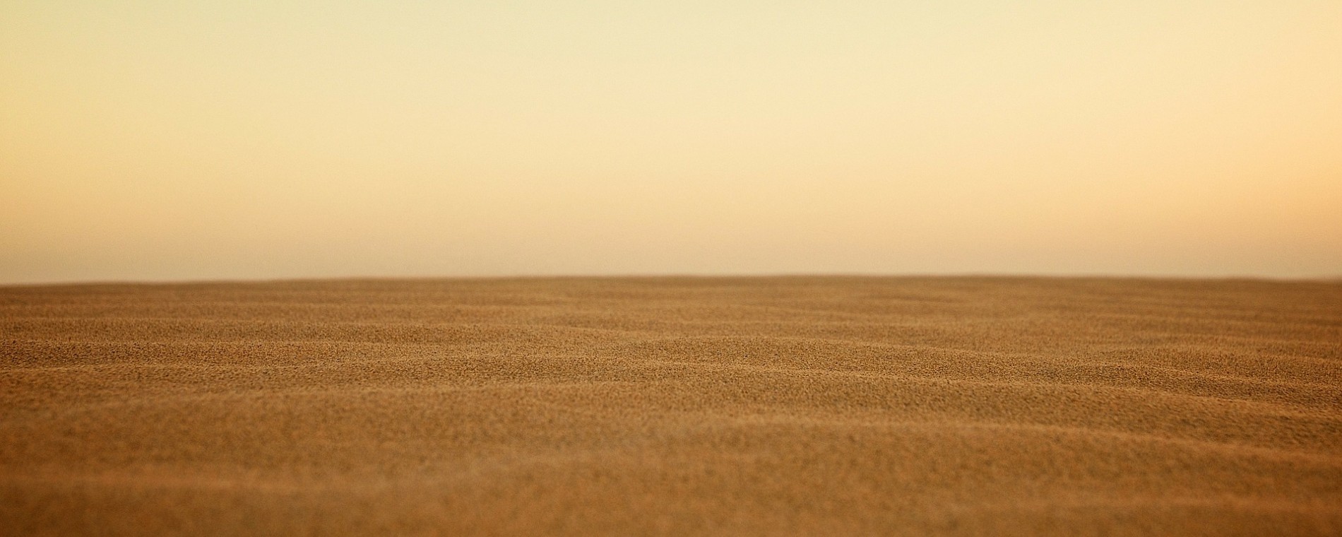 PODZIM 2020 s knihou EXODUS