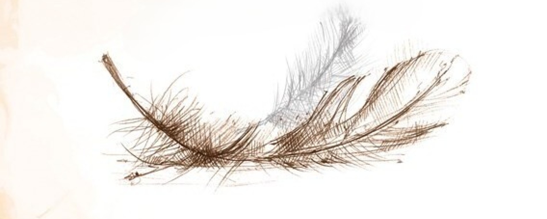 NEODCHÁZET BEZ KŘÍDEL